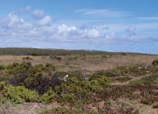 West Coast National Park