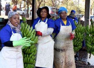 Fair and inclusive trade is important for growth and jobs in SA