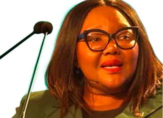 Minister Siviwe Gwarube