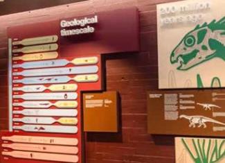 Kgomomodumo Dinosaur Interpretive Centre