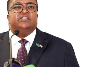 Deputy Minister in The Presidency responsible for Women