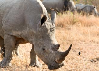 SANParks Vision 2024 Indaba .jpg