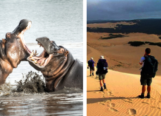 travel
