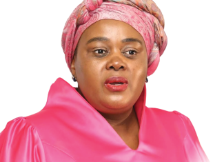 Minister Mmamoloko Kubayi