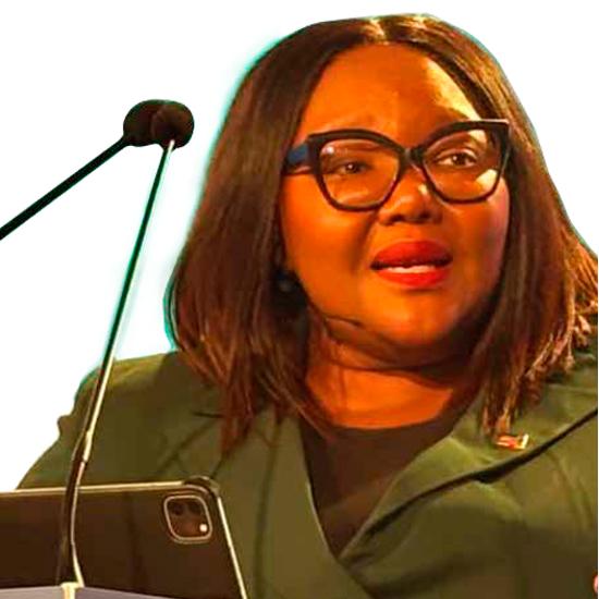 Minister Siviwe Gwarube