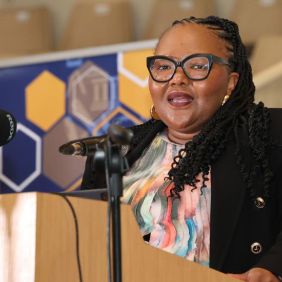 Basic Education Minister Siviwe Gwarube emphasised the importance of getting things right from the foundation level