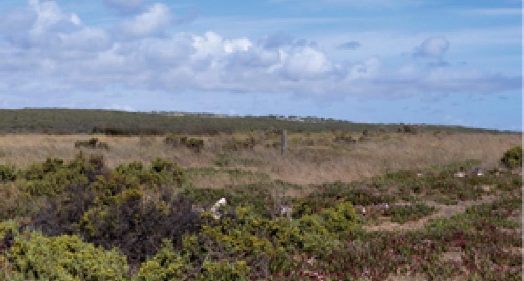 West Coast National Park
