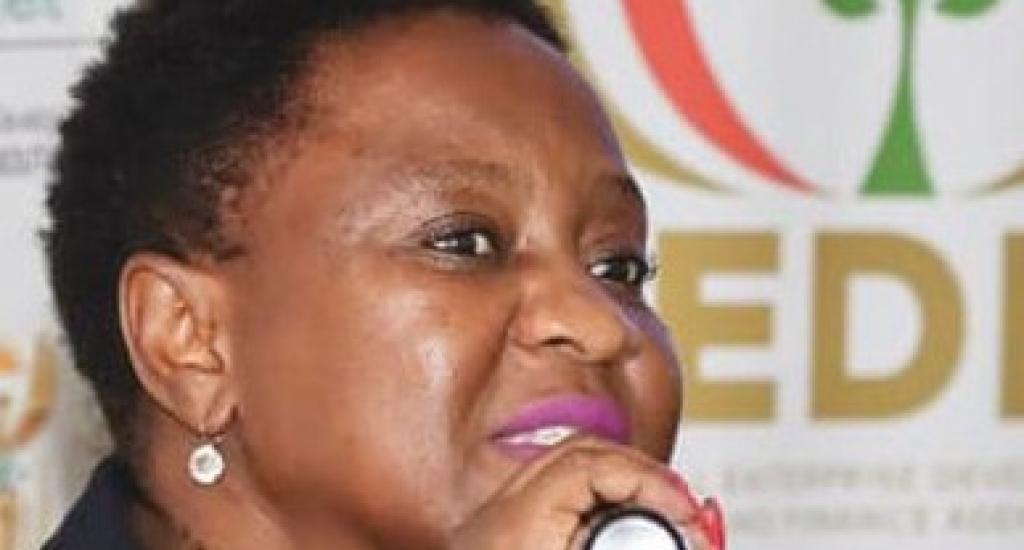 Department of Small Business Development DG Thulisile Manzini
