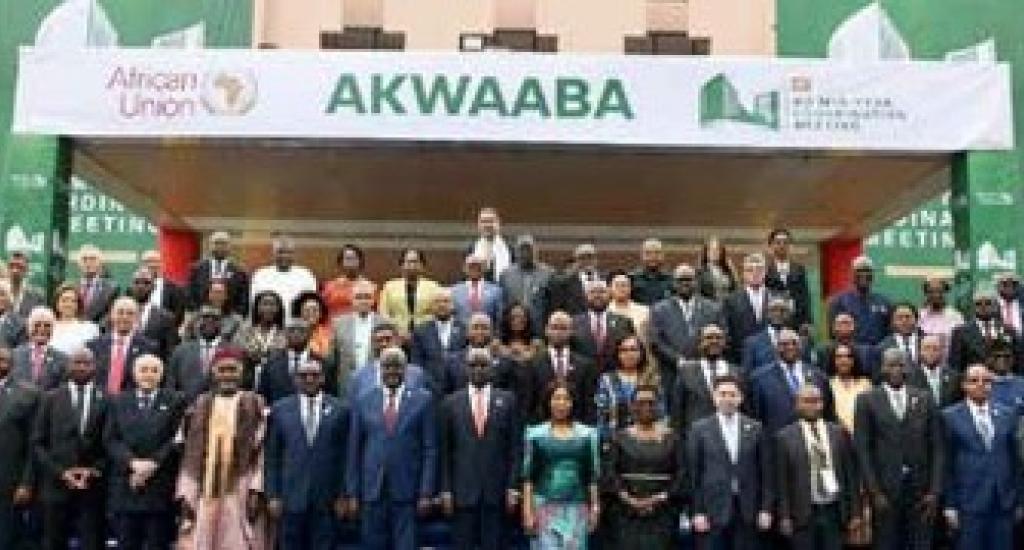 Officials at the 45th Ordinary Session of the African Union (AU) Executive Council in Accra, Ghana