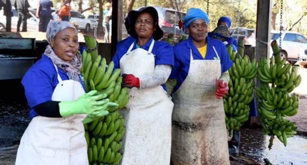 Fair and inclusive trade is important for growth and jobs in SA