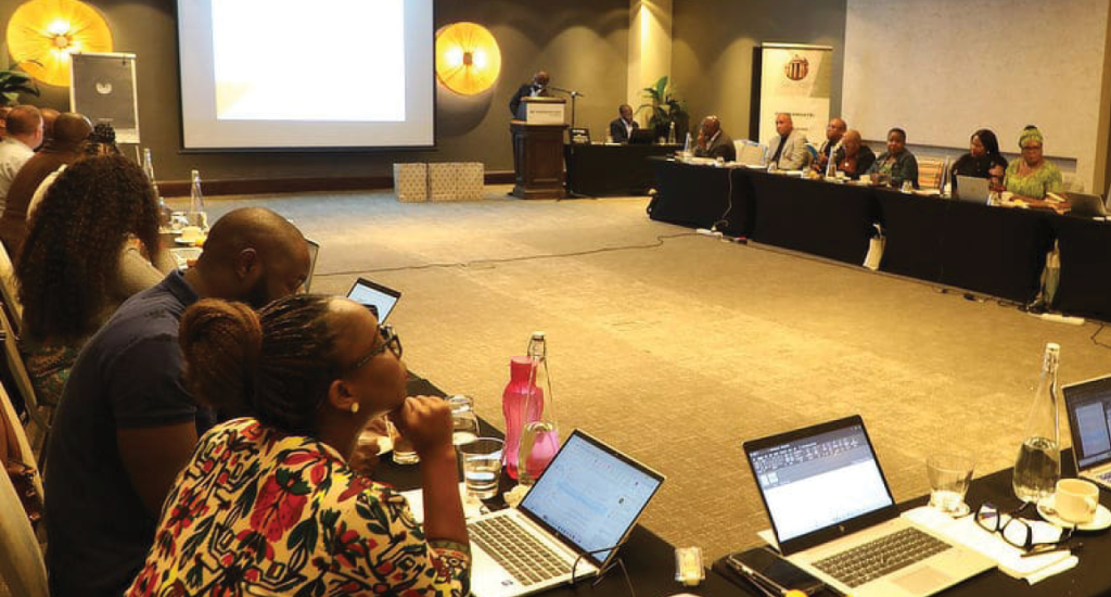 Skills development and professionalisation efforts