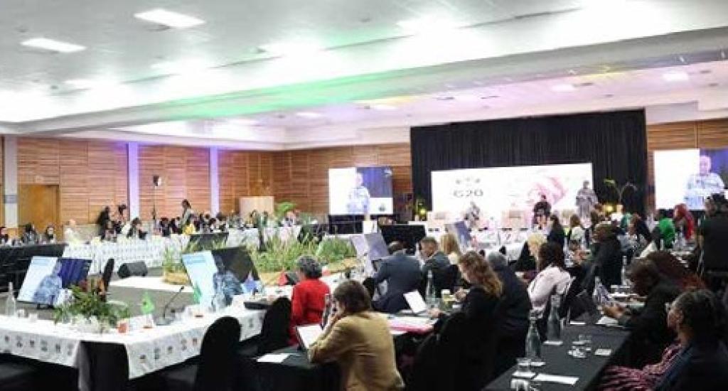 Delegates at the 3rd Technical Meeting of the G20 EWWG
