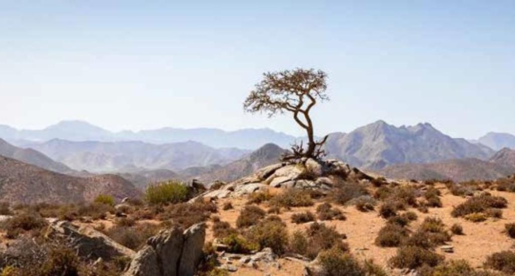 The clear atmosphere above the park provides visitors the perfect stargazing
