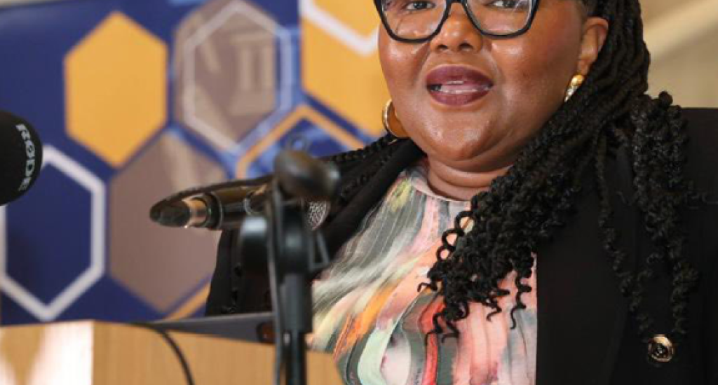 Basic Education Minister Siviwe Gwarube emphasised the importance of getting things right from the foundation level