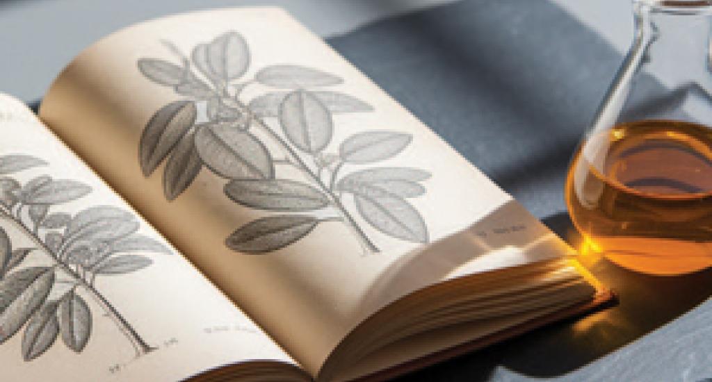 Integrating African botanicals into your routine