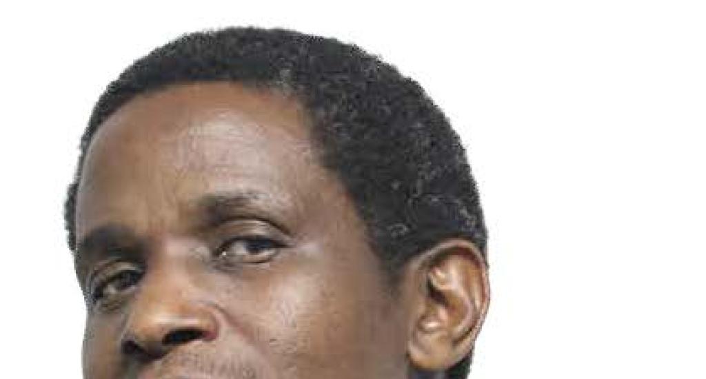 Dr Simphiwe Ngqangweni